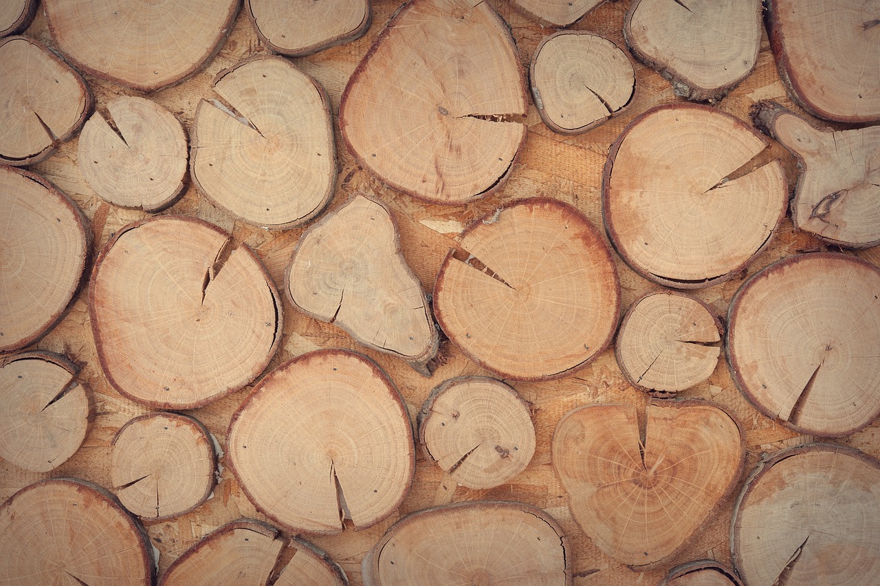 A Guide to Understanding Wood Grain Patterns